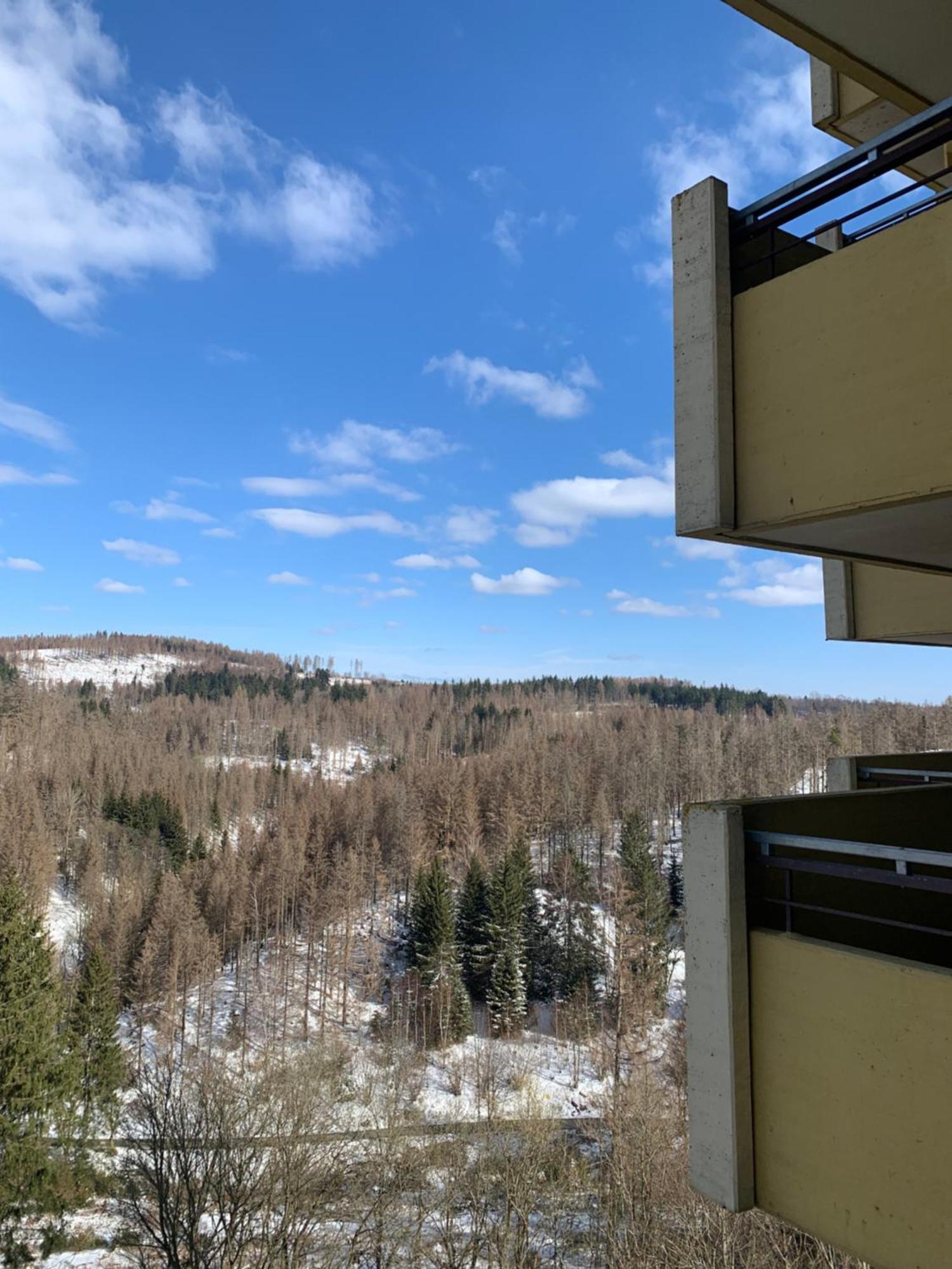 Atempause Und Erholsame Zeit Im Harz Apartment